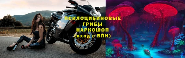 стафф Абинск