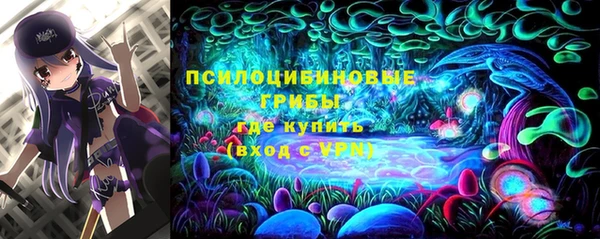 соль курить ск Алзамай