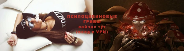 mix Алексин