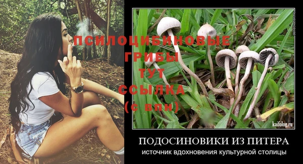 бошки Абаза