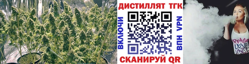 KRAKEN ТОР  Чухлома  Дистиллят ТГК гашишное масло  хочу  