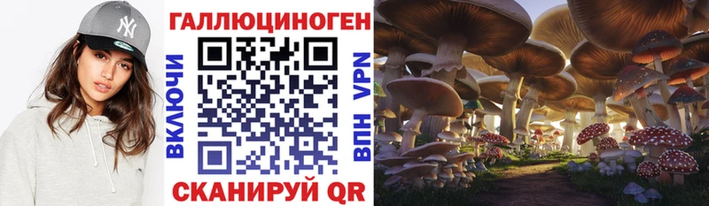 Галлюциногенные грибы MAGIC MUSHROOMS  закладки  Чухлома 